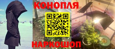 стафф Краснокаменск
