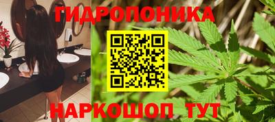 стафф Краснокаменск
