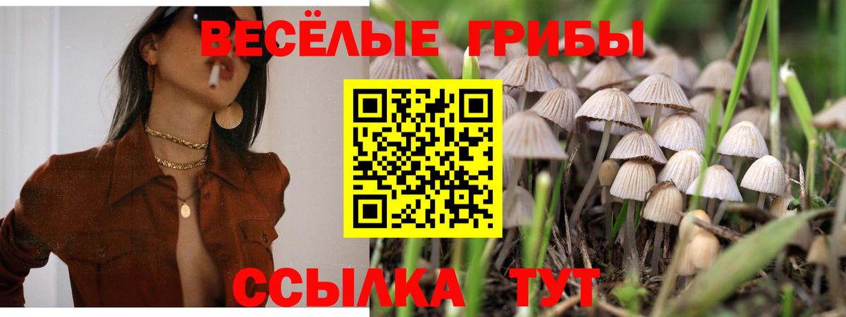 Гусь-Хрустальный  Псилоцибиновые грибы прущие грибы  Вход с VPN 